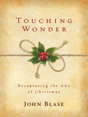 cover image of Touching Wonder